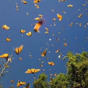 Meet your Posher, Becca